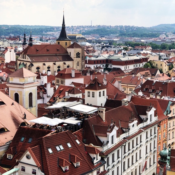 Meet your Posher, Kristy - Picture 4 of 6